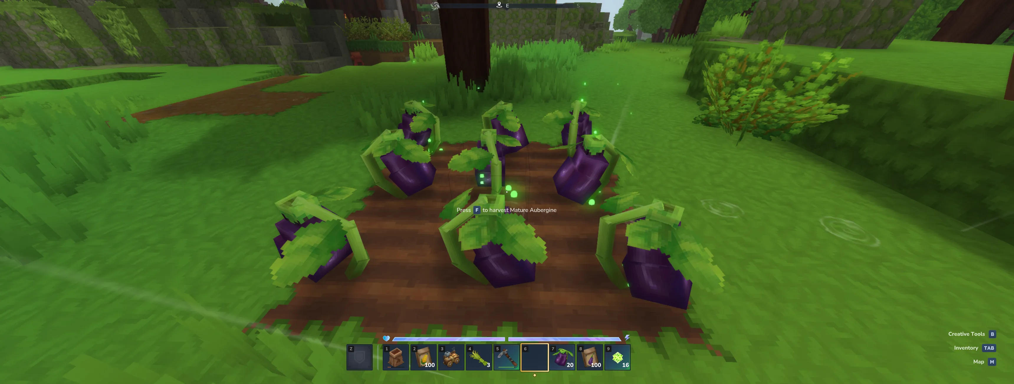 Eternal Seeds planted in a farm plot with a glowing green light beam